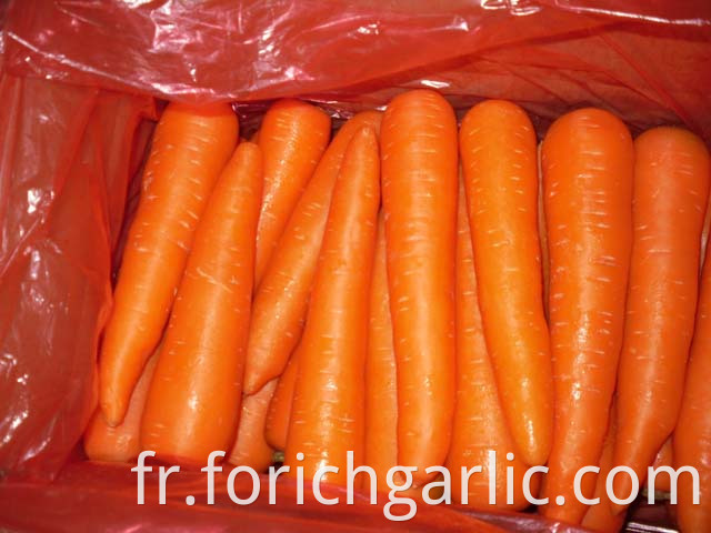 Fresh Carrot